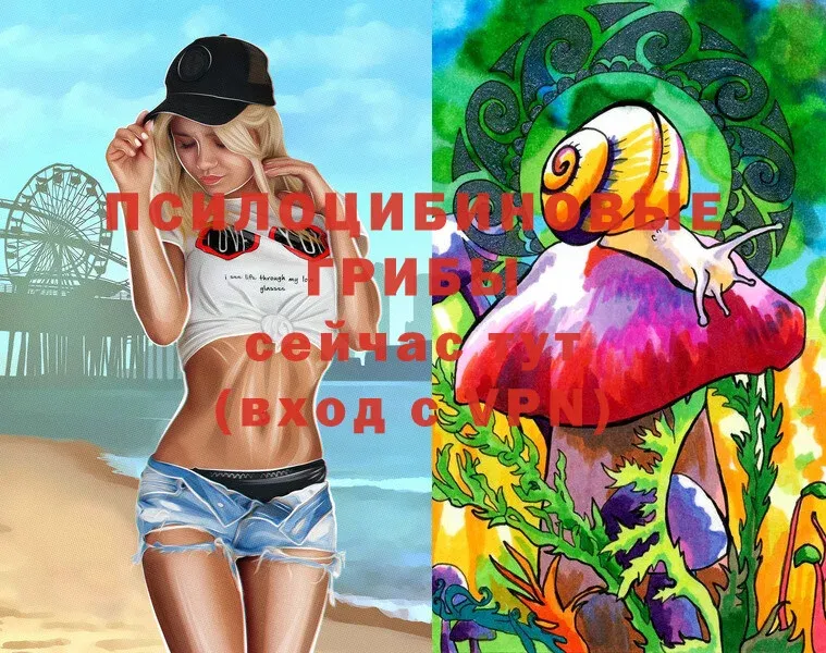 Псилоцибиновые грибы Magic Shrooms  что такое   Кириши 